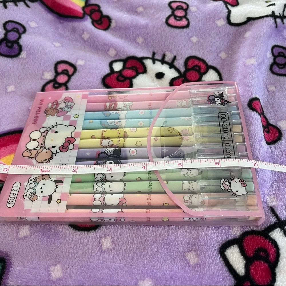 Set of 12 Sanrio Black Ink Pens in a Plastic Carrying Case
